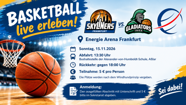 Basketball live erleben! 🏀