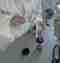 Gallery Item 7